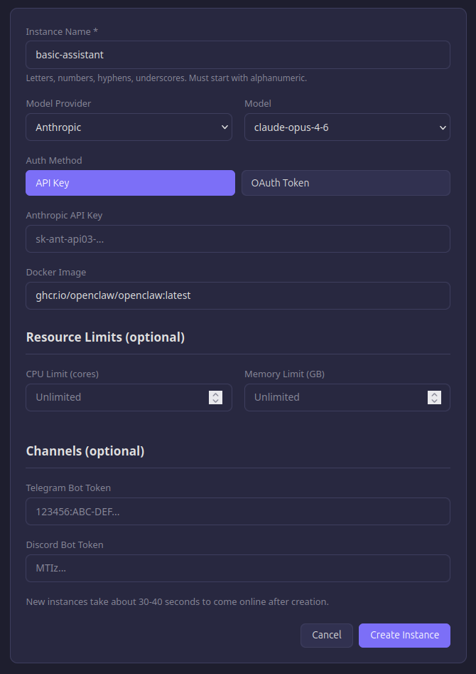 Instance creation form with model and channel configuration