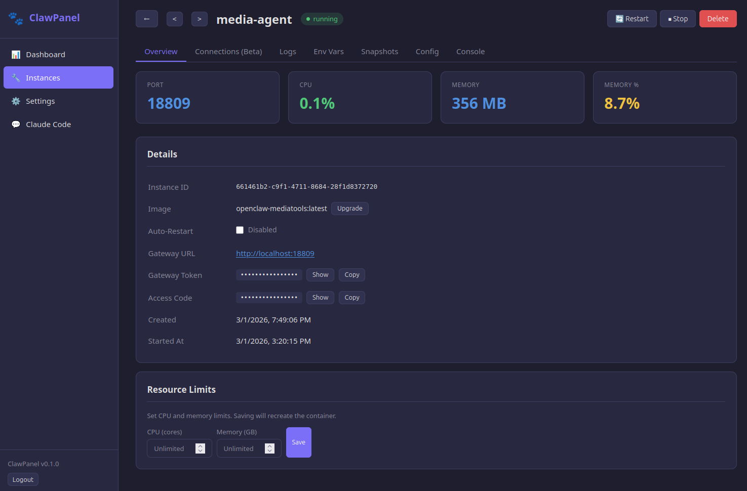 Instance detail view with real-time metrics and configuration